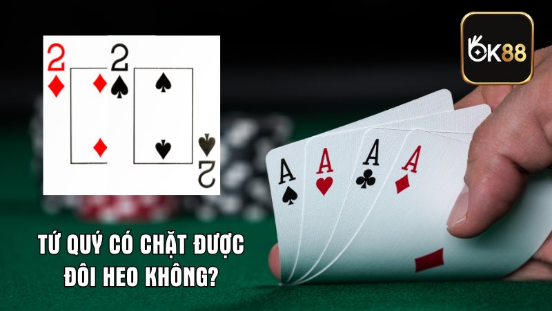 Tứ Quý Có Chặt Được Đôi Heo Không? Cách Chặt Hiệu Quả Nhất Tứ Quý Có Chặt Được Đôi Heo Không? Cách Chặt Hiệu Quả Nhất